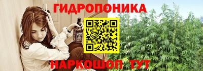 гидропоника Гагарин