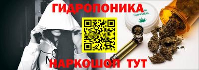 apvp Гай
