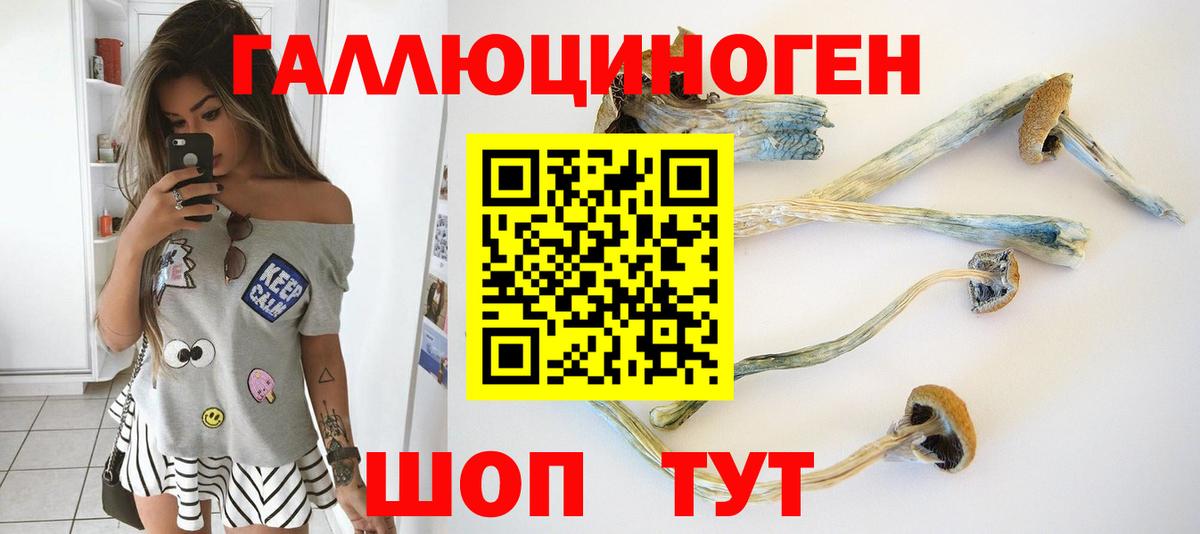 Псилоцибиновые грибы прущие грибы Губаха