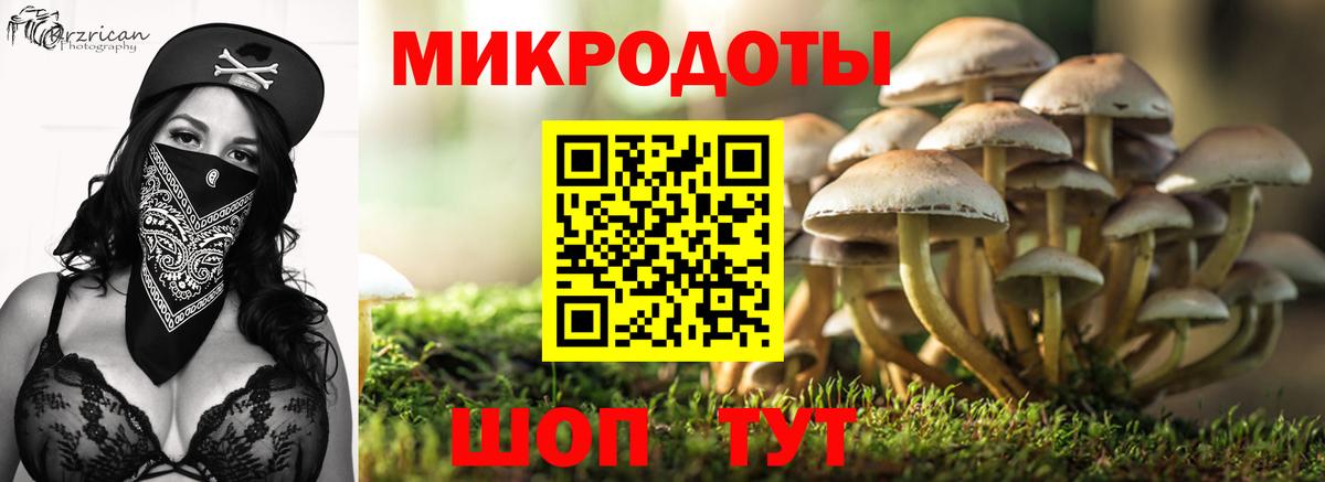 Галлюциногенные грибы Psilocybine cubensis  закладки  Губаха  Вход с VPN 