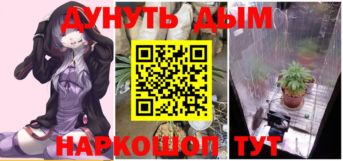 Бошки марихуана Ganja Губаха